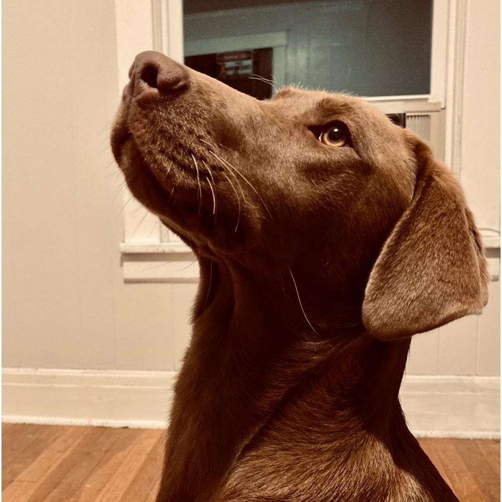 Meet your Posher, Jadyn